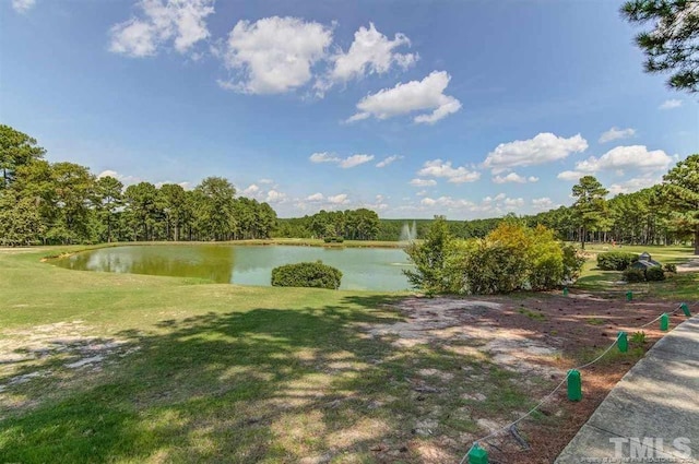 water view