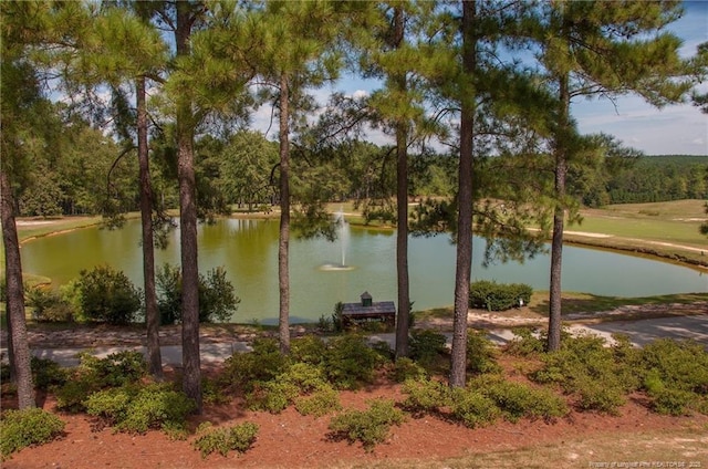 water view