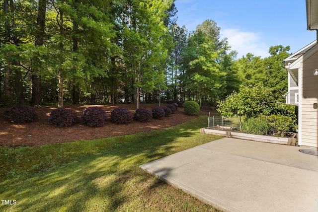 view of yard featuring a patio and a garden