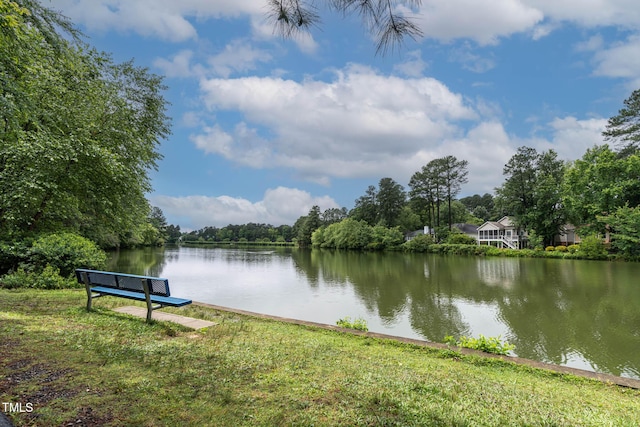 6 Chelan Ct, Durham, NC 27713 - water view