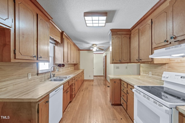kitchen featuring white appliances, light countertops, under cabinet range hood, tasteful backsplash, and a sink