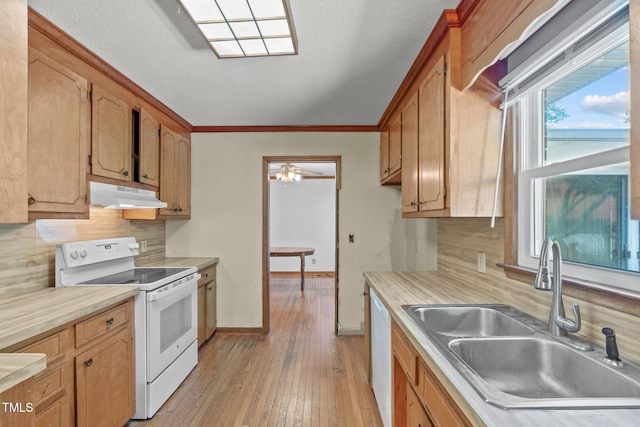 kitchen with white appliances, light wood-type flooring, light countertops, under cabinet range hood, and a sink