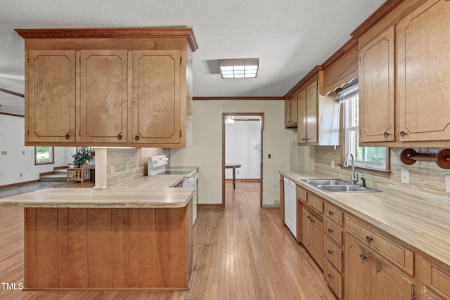 kitchen featuring tasteful backsplash, light wood-type flooring, a sink, baseboards, and light countertops