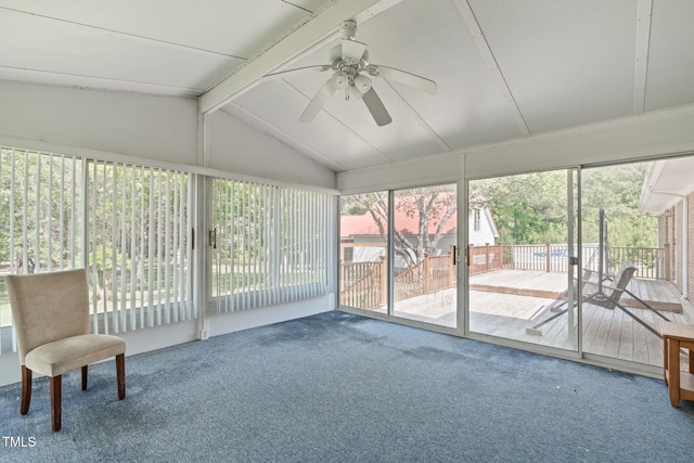 unfurnished sunroom with carpet floors, lofted ceiling with beams, a wooden deck, and ceiling fan
