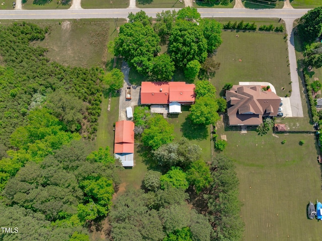 bird's eye view