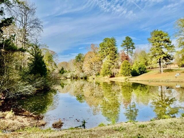 321 Devon Cliffs Dr, Wake Forest, NC 27587 - water view