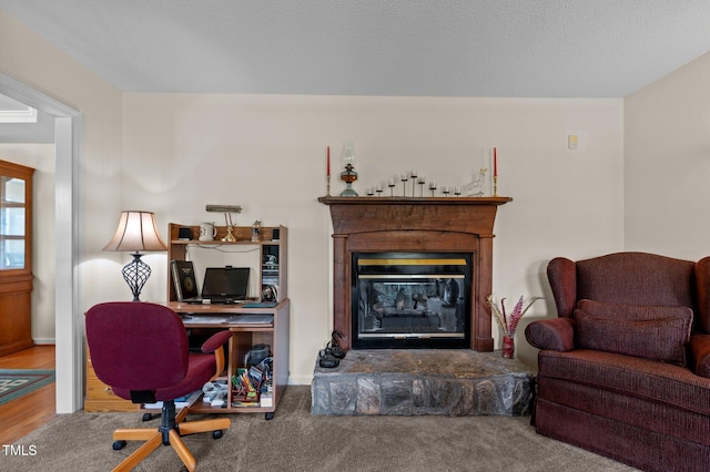675 Anderson Creek Rd, Henderson, NC 27537 - office with a glass covered fireplace