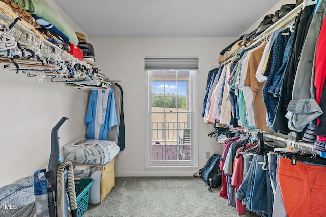 675 Anderson Creek Rd, Henderson, NC 27537 - spacious closet featuring carpet floors