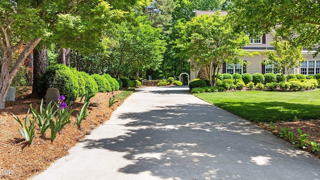 7212 Donneeford Rd, Wake Forest, NC 27587 - view of community featuring a lawn