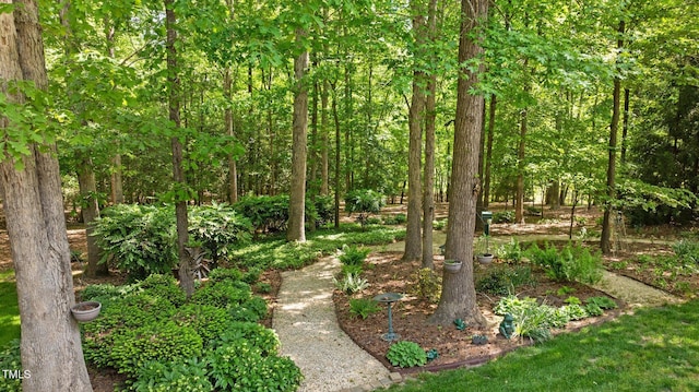 7212 Donneeford Rd, Wake Forest, NC 27587 - view of yard