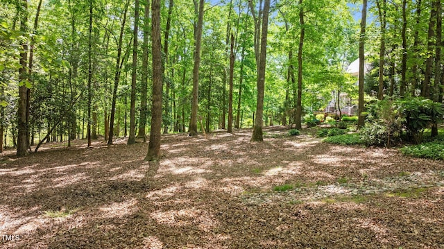 7212 Donneeford Rd, Wake Forest, NC 27587 - view of undeveloped land