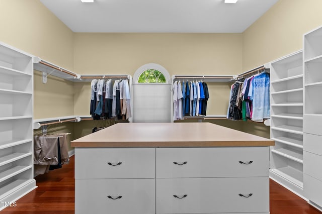 7212 Donneeford Rd, Wake Forest, NC 27587 - walk in closet with dark wood-style floors