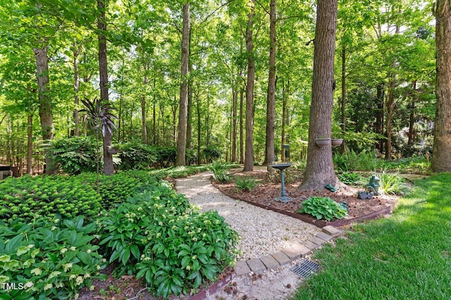 7212 Donneeford Rd, Wake Forest, NC 27587 - view of yard