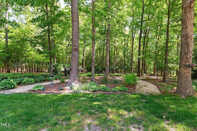 7212 Donneeford Rd, Wake Forest, NC 27587 - view of green lawn