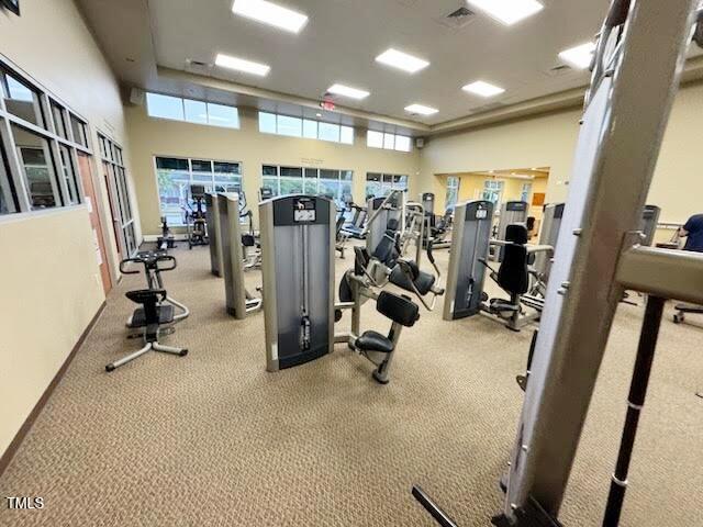 202 Verrazano Pl, Clayton, NC 27520 - exercise room with a high ceiling and carpet floors