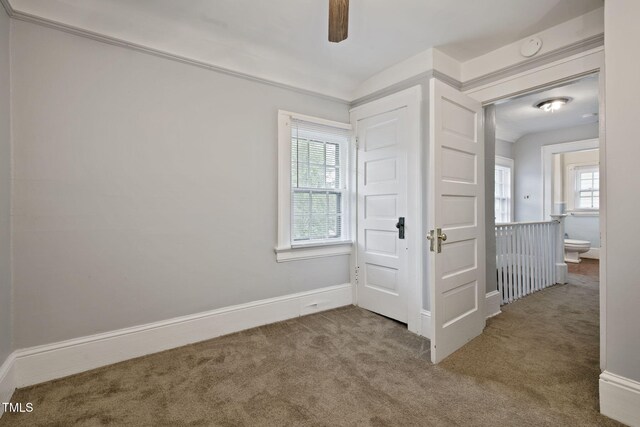 interior space featuring baseboards, multiple windows, and carpet