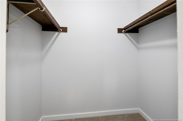 walk in closet with carpet
