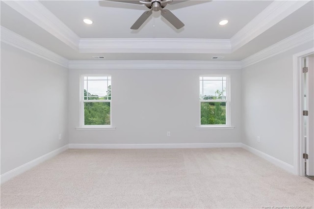 empty room featuring crown molding, a raised ceiling, and plenty of natural light