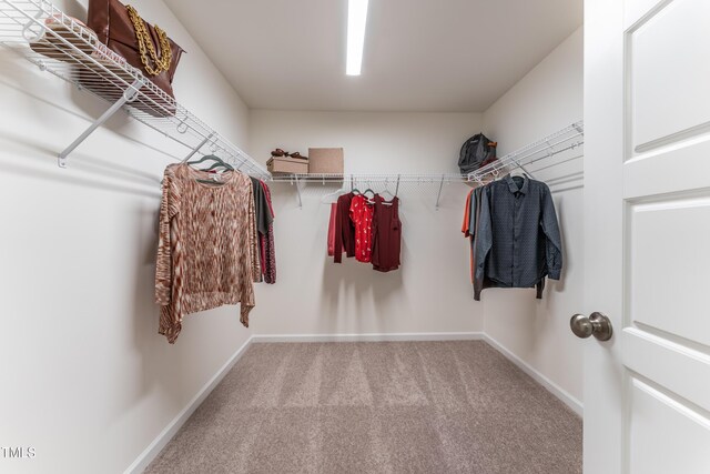 LOT5 Cooper St, Sanford, NC 27330 - spacious closet with carpet flooring