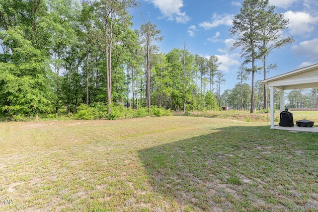 105 Forest Wood Dr, Salemburg, NC 28385 - view of yard