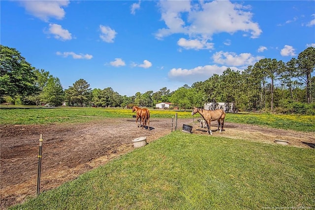 40 Kinlaw Rd, Lumberton, NC 28358 - photo 30