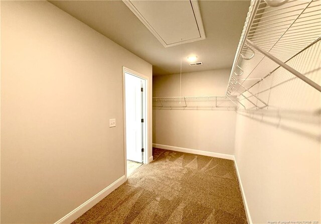 walk in closet featuring attic access, visible vents, and carpet flooring