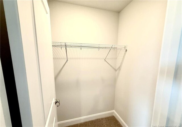 spacious closet featuring carpet floors