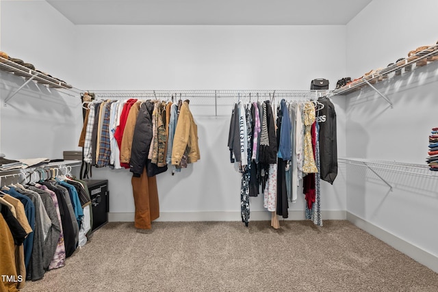 spacious closet with carpet