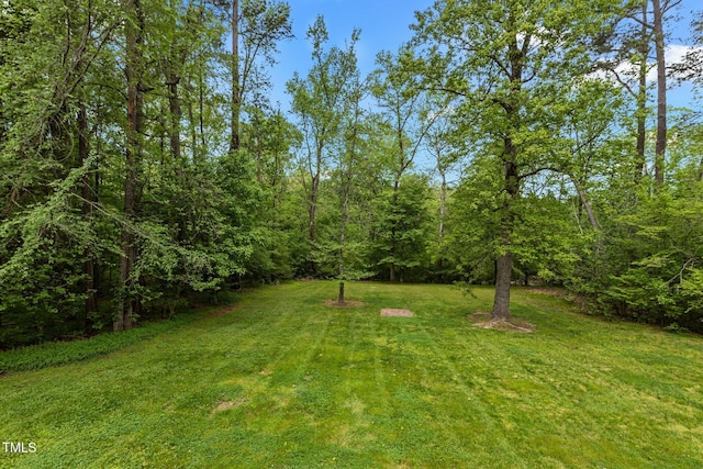 113 Denard St, Oxford, NC 27565 - view of yard featuring a view of trees