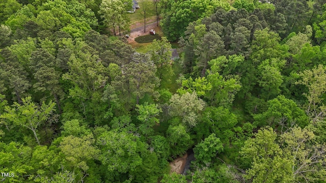 113 Denard St, Oxford, NC 27565 - bird's eye view with a forest view