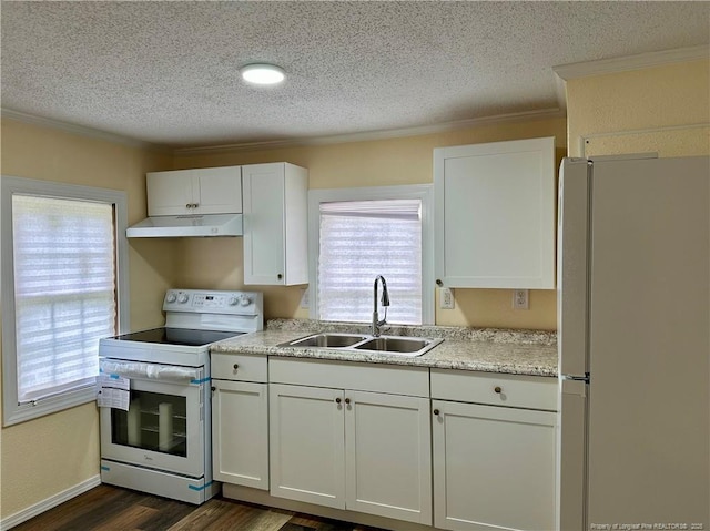 kitchen featuring a sink, crown molding, white appliances, a textured ceiling, and plenty of natural light