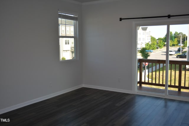 spare room with crown molding, baseboards, dark wood finished floors, and a wealth of natural light