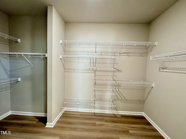 walk in closet featuring wood finished floors