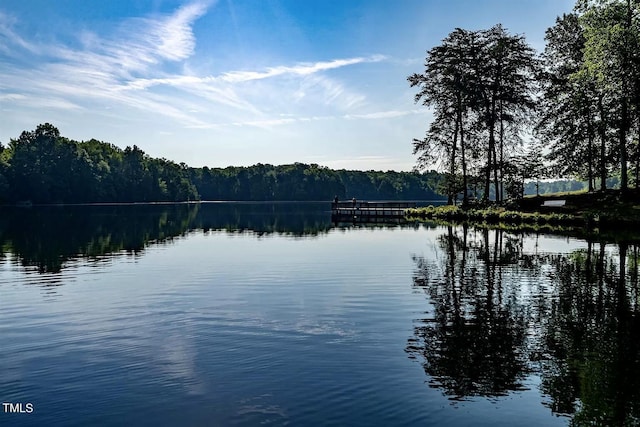 view of water feature featuring a dock and a view of trees
