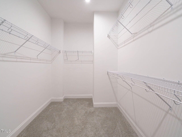 spacious closet featuring light colored carpet