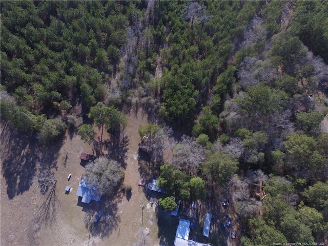 bird's eye view with a forest view