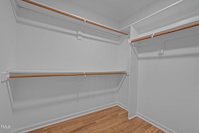 spacious closet featuring wood finished floors