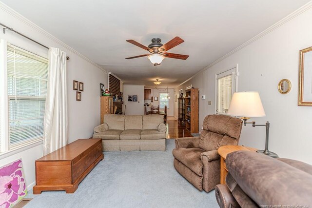 carpeted living area with a healthy amount of sunlight, visible vents, ornamental molding, and ceiling fan