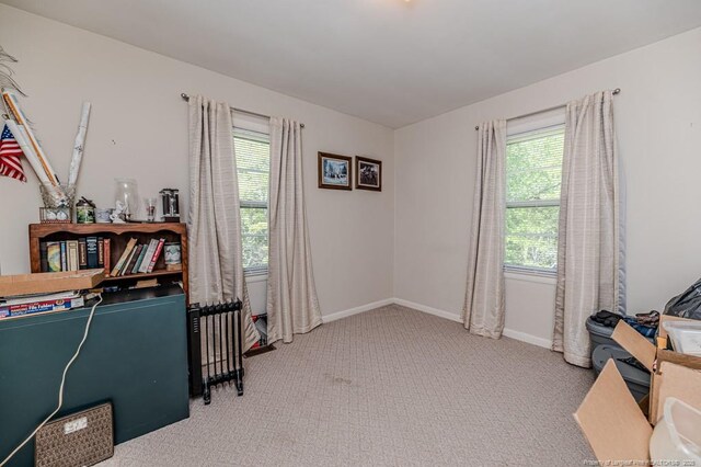 office space with baseboards, carpet floors, and plenty of natural light