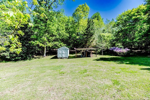 view of yard with an outdoor structure, a carport, and a storage unit