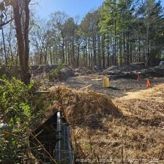 737 N Vass Rd, Raeford, NC 28376 - photo 3
