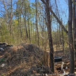 737 N Vass Rd, Raeford, NC 28376 - photo 7