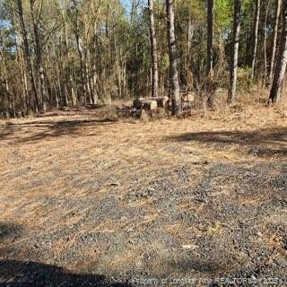 737 N Vass Rd, Raeford, NC 28376 - photo 8