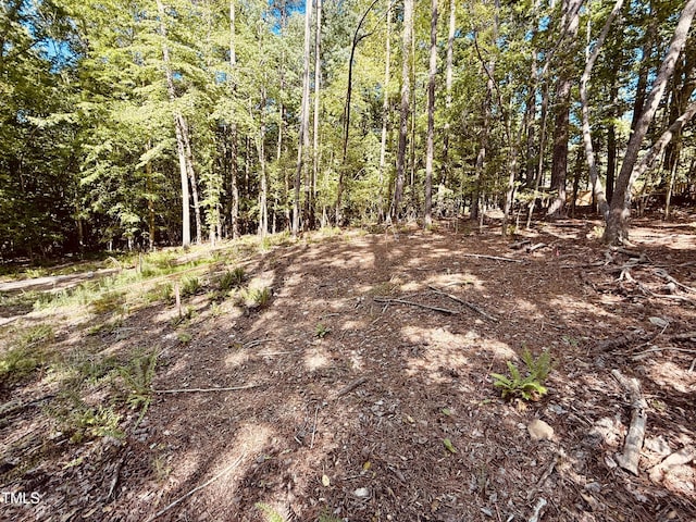 102 Sequoia Dr, Louisburg, NC 27549