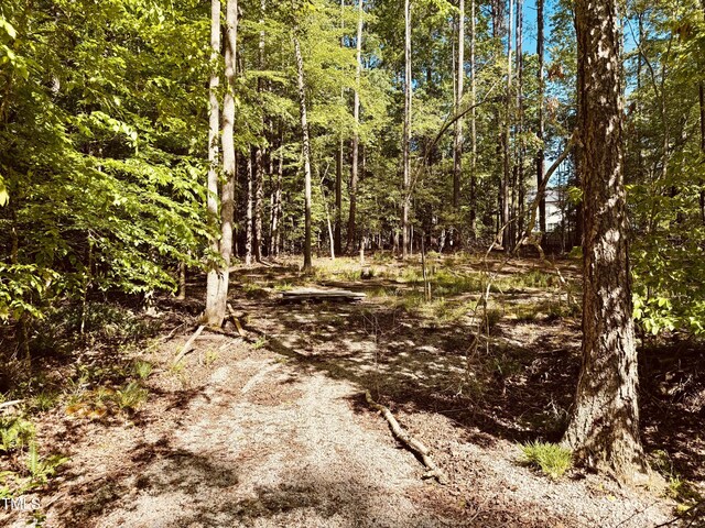 102 Sequoia Dr, Louisburg, NC 27549