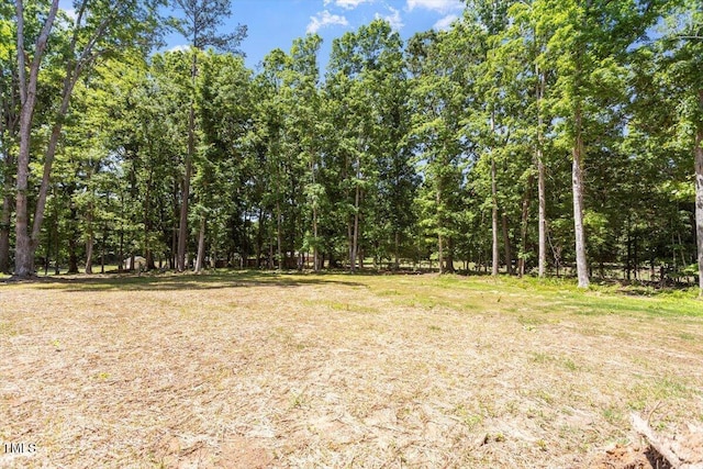 2405 Pearces Rd, Zebulon, NC 27597 - photo 31