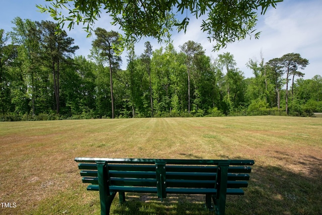 view of community featuring a yard