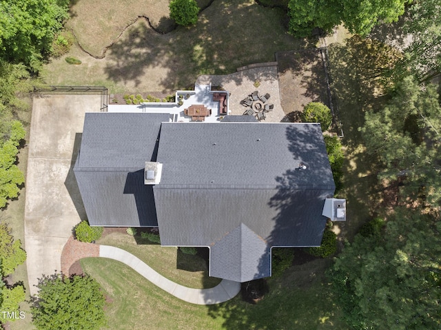 bird's eye view