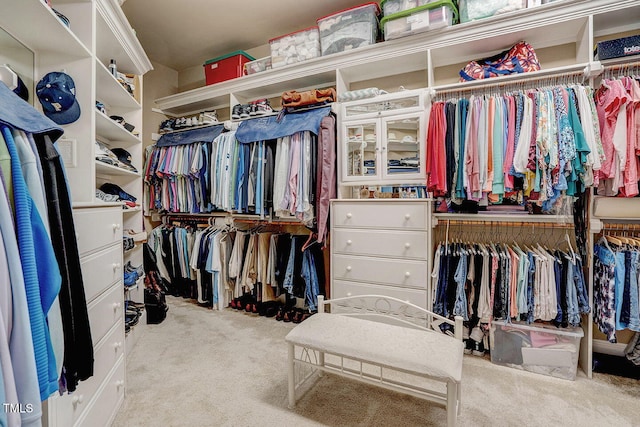 1605 Hunting Ridge Rd, Raleigh, NC 27615 - walk in closet with carpet floors