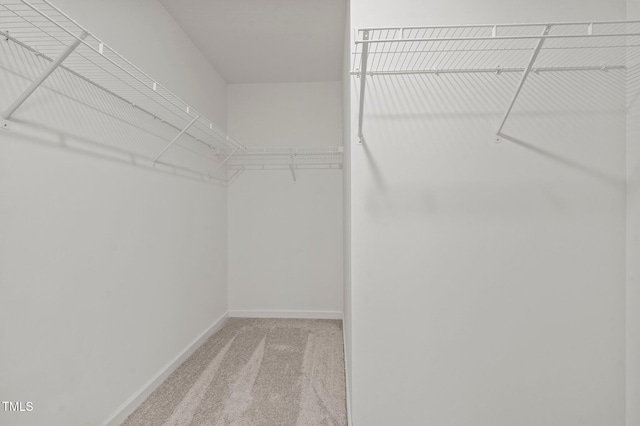 spacious closet featuring carpet floors
